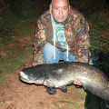 Shatterford Lakes Catfish